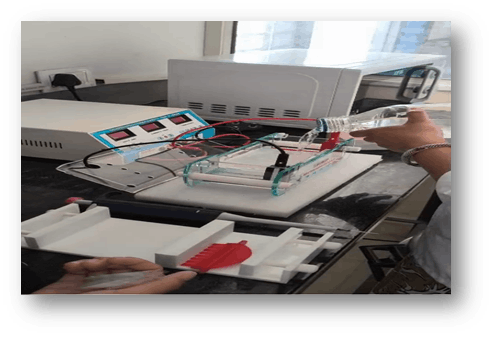 Pharmaceutical microbiology 4