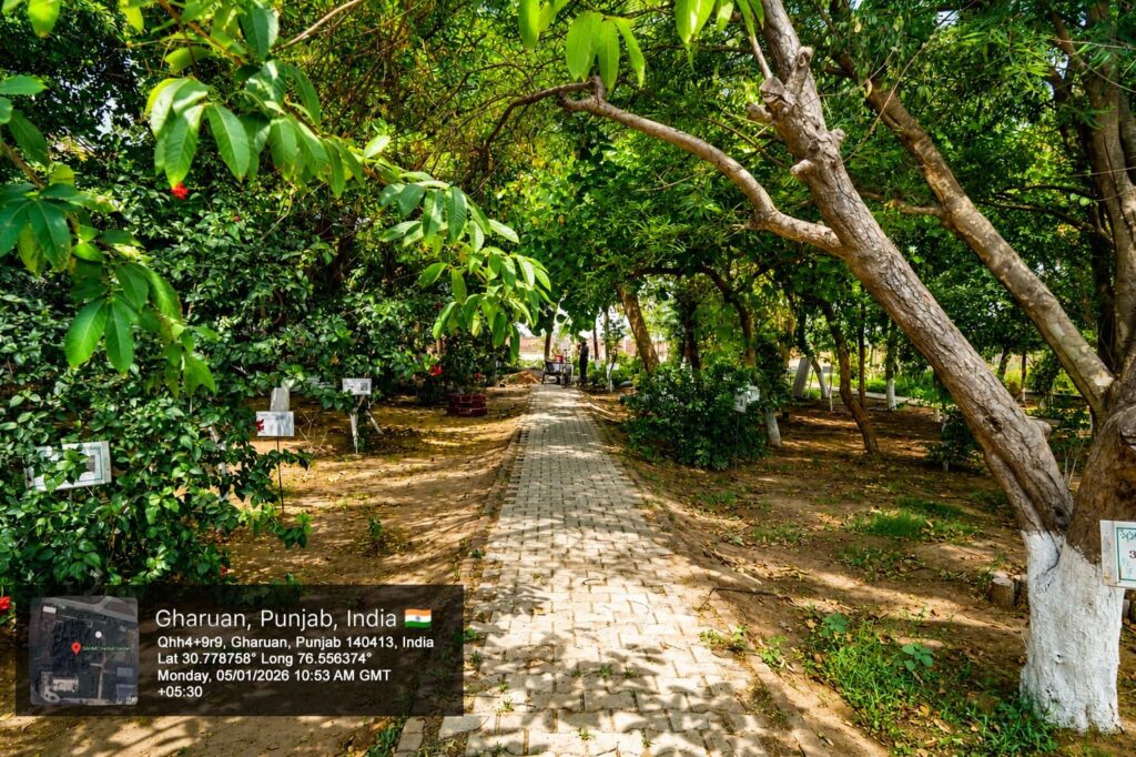green campus